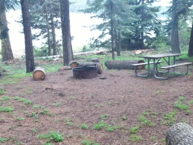 Campsite C38- Hyatt Lake