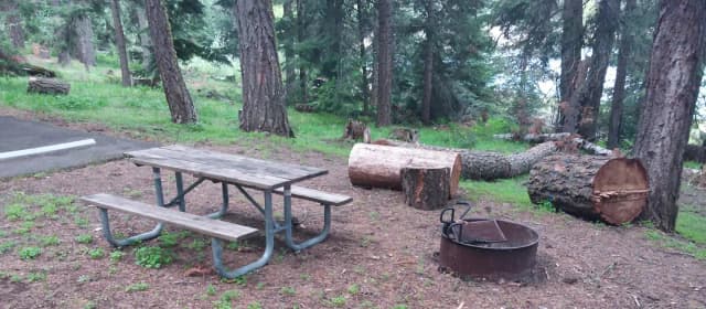 Campsite C39- Hyatt Lake