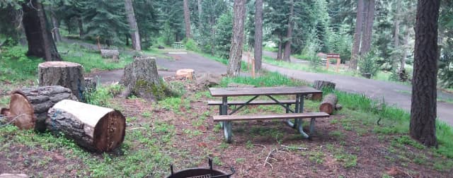Campsite C40- Hyatt Lake