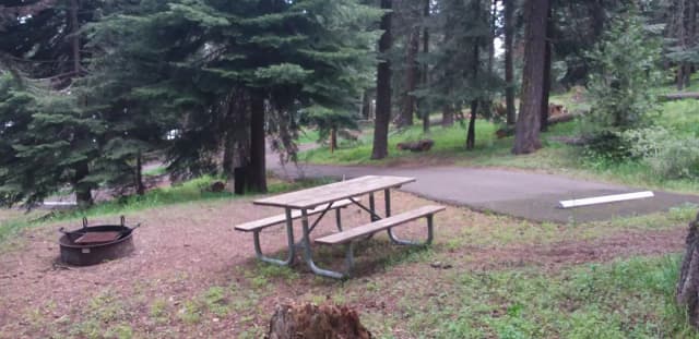 Campsite C41- Hyatt Lake