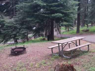 Campsite Overview
