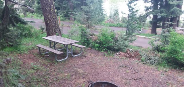 Campsite C42- Hyatt Lake