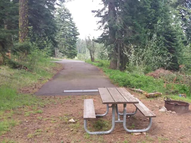 Campsite C43- Hyatt Lake
