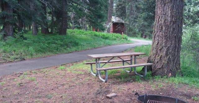 Campsite C45- Hyatt Lake