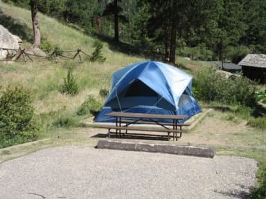 B Loop · Site 007 at Rocky Mountain National Park Aspenglen Campground