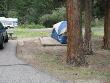 B Loop · Site 009 at Rocky Mountain National Park Aspenglen Campground