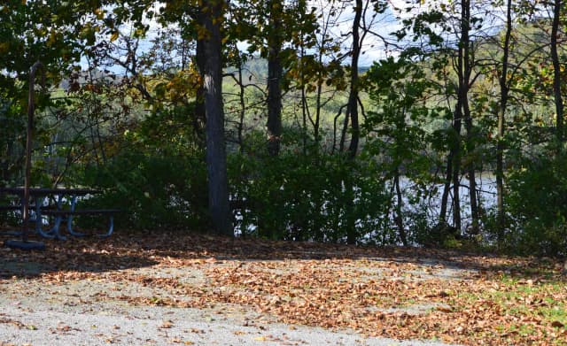 Loop 1 · Site 013 at Bush Recreation Area