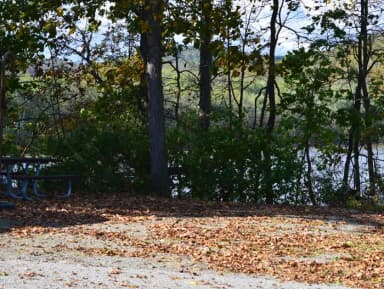 Loop 1 · Site 013 at Bush Recreation Area
