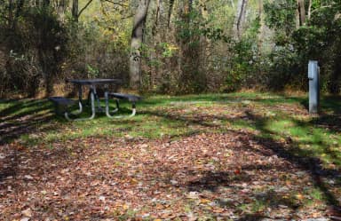 Loop 1 · Site 021 at Bush Recreation Area