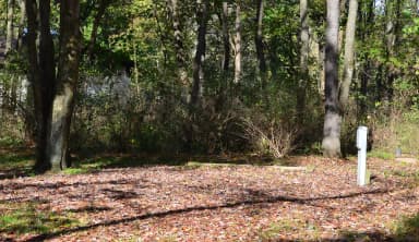 Loop 1 · Site 023 at Bush Recreation Area