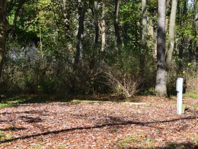 Loop 1 · Site 023 at Bush Recreation Area