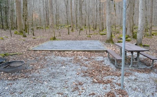 Site 001 at Big Creek Campground (Great Smoky Mountains National Park)