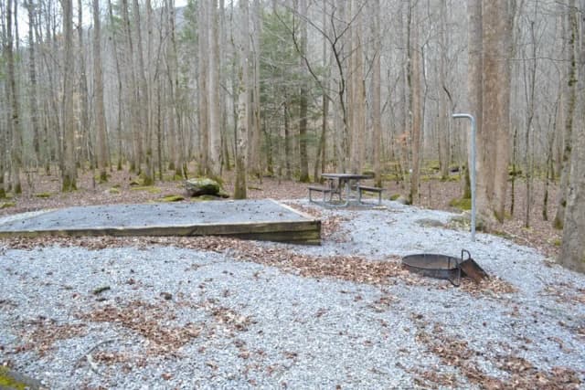 Site 002 at Big Creek Campground (Great Smoky Mountains National Park)