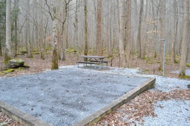 Site 002 at Big Creek Campground (Great Smoky Mountains National Park)
