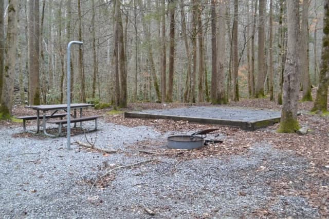 Site 003 at Big Creek Campground (Great Smoky Mountains National Park)