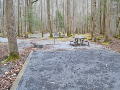 Site 003 at Big Creek Campground (Great Smoky Mountains National Park)