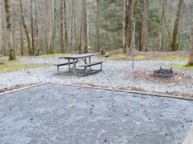 Site 004 at Big Creek Campground (Great Smoky Mountains National Park)