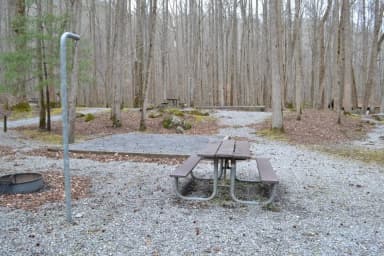 Site 004 at Big Creek Campground (Great Smoky Mountains National Park)