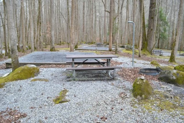 Site 005 at Big Creek Campground (Great Smoky Mountains National Park)