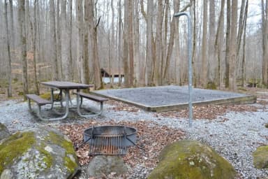 Site 005 at Big Creek Campground (Great Smoky Mountains National Park)