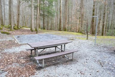Site 006 at Big Creek Campground (Great Smoky Mountains National Park)