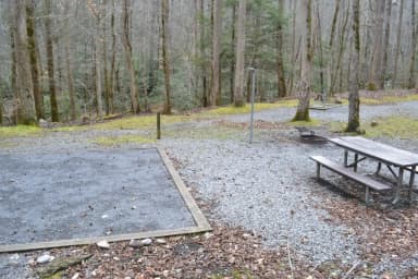 Site 006 at Big Creek Campground (Great Smoky Mountains National Park)