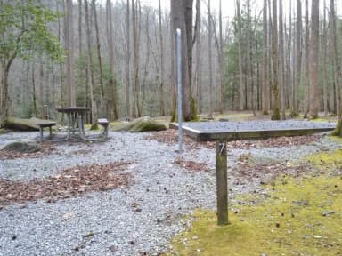 Site 007 at Big Creek Campground (Great Smoky Mountains National Park)