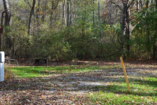 Loop 1 · Site 028 at Bush Recreation Area