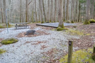 Site 008 at Big Creek Campground (Great Smoky Mountains National Park)