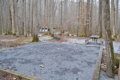 Site 008 at Big Creek Campground (Great Smoky Mountains National Park)