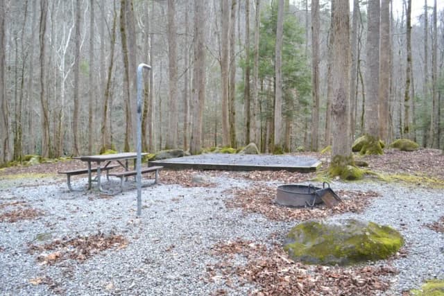 Site 008 at Big Creek Campground (Great Smoky Mountains National Park)