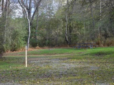 Loop 1 · Site 035 at Bush Recreation Area