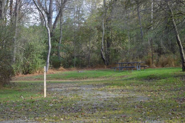 Loop 1 · Site 035 at Bush Recreation Area