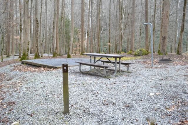 Site 009 at Big Creek Campground (Great Smoky Mountains National Park)