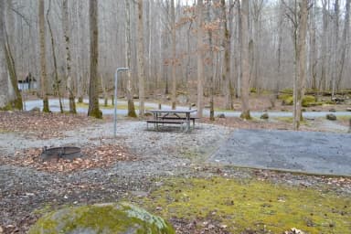 Site 009 at Big Creek Campground (Great Smoky Mountains National Park)