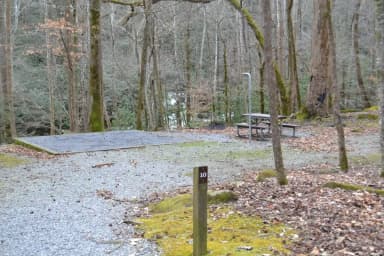 Site 010 at Big Creek Campground (Great Smoky Mountains National Park)
