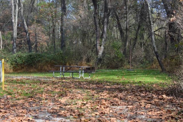 Site 41