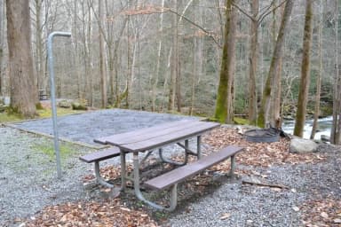 Site 010 at Big Creek Campground (Great Smoky Mountains National Park)