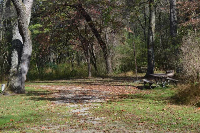 Loop 1 · Site 042 at Bush Recreation Area