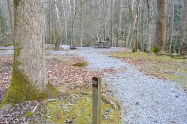 Site 011 at Big Creek Campground (Great Smoky Mountains National Park)