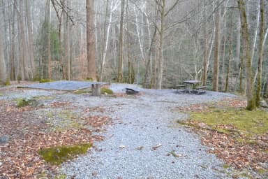 Site 011 at Big Creek Campground (Great Smoky Mountains National Park)