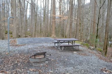 Site 012 at Big Creek Campground (Great Smoky Mountains National Park)