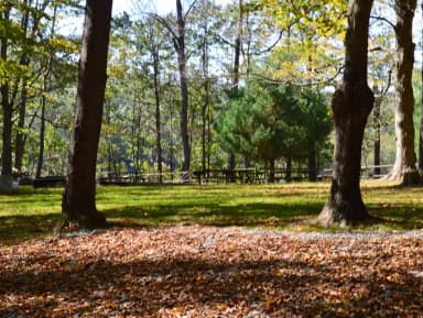 Kiski Overview