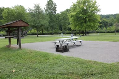 Site 15
