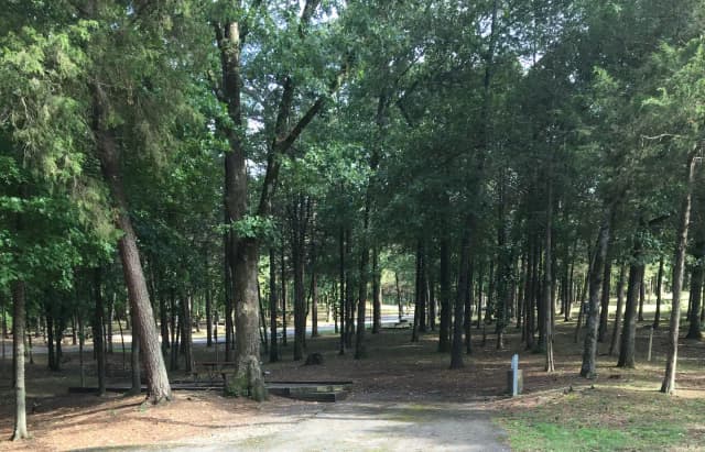 Site B16 at Piney Bay