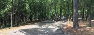 Site G23 at Piney Bay