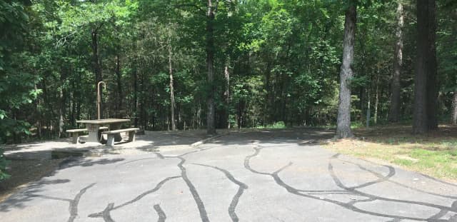 Site G26 at Piney Bay