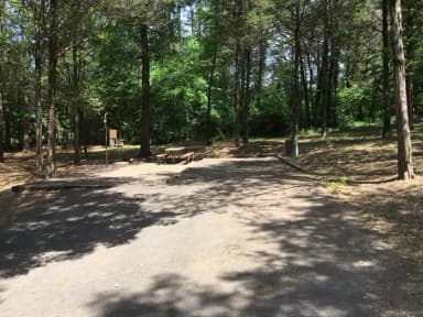 Site B09 at Piney Bay