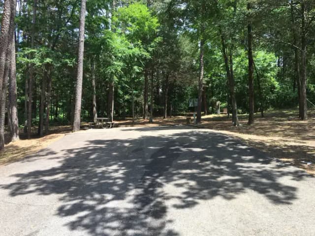 Site B10 at Piney Bay