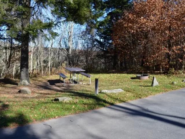 Balsam Mountain Campground Site 1 with picnic table